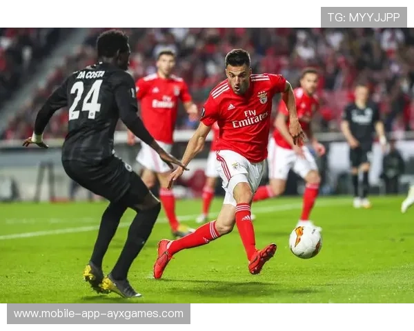 本菲卡追哈兰德式锋——全新引援模式的崛起