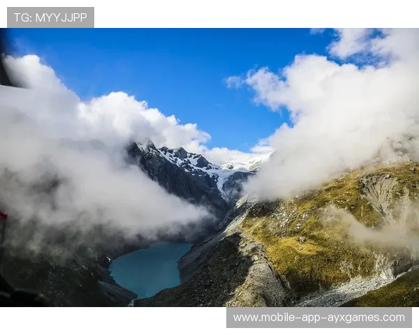 瓦希禁区内完成终结